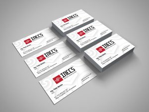 vizitky INECS
